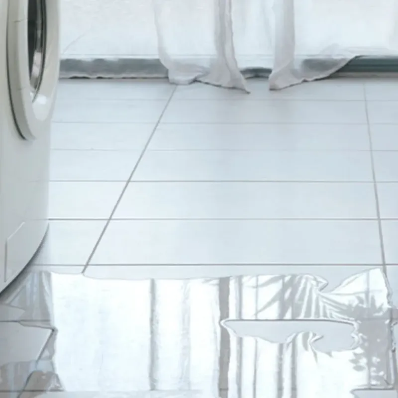 Appliance Leak Cleanup in Greeley County, KS