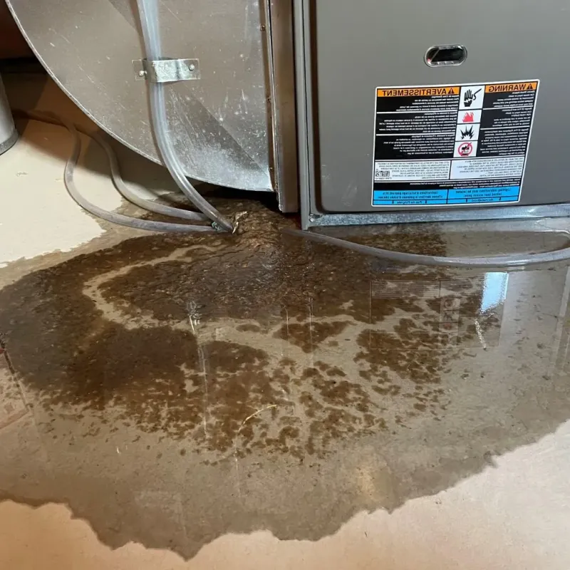 Pipe Burst and Leak Restoration in Greeley County, KS