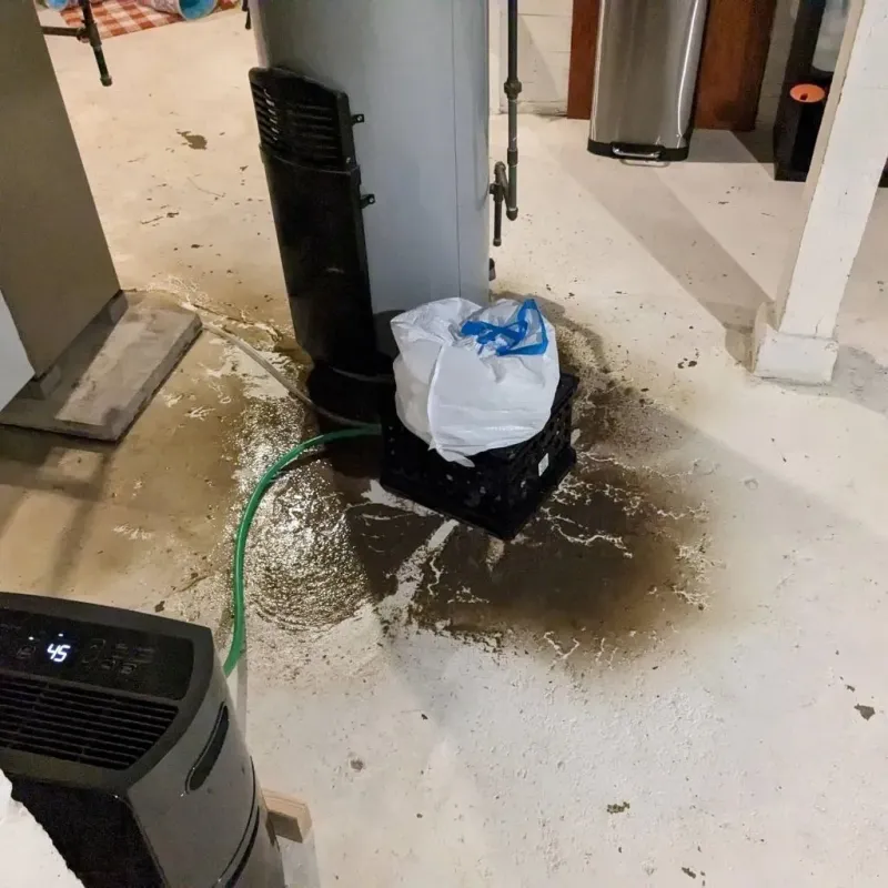 Sewage Backup Cleanup Service in Greeley County, KS